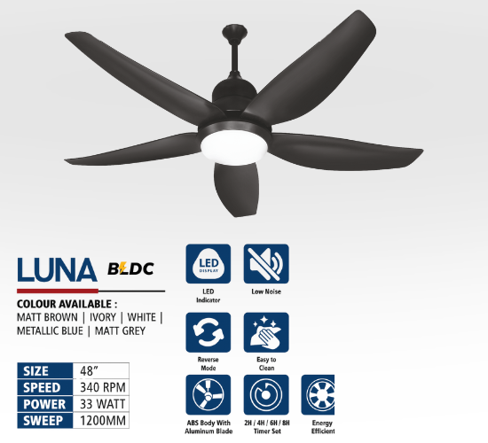Designer Ceiling Fan